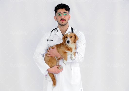 دامپزشک ایرانی و سگ