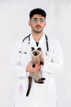 عکس با کیفیت دامپزشک با گربه