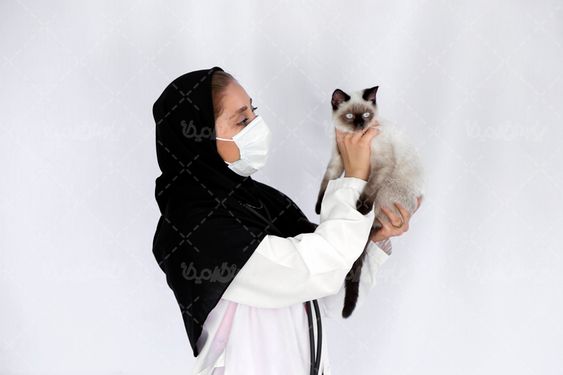 تصویر با کیفیت دامپزشک خانم و گربه