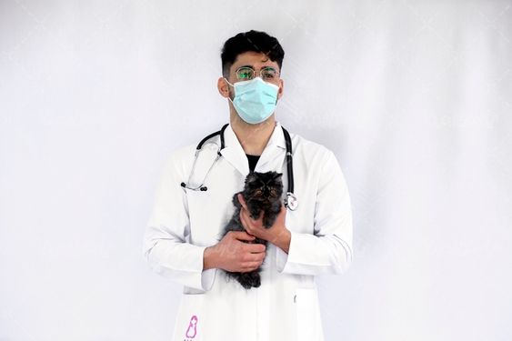 تصویر دامپزشک مرد با گربه