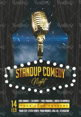 میکروفن حرفه ای