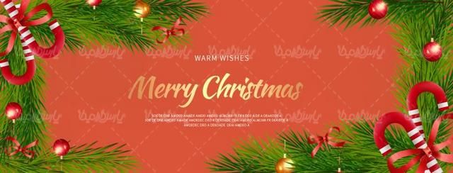 فریم برگ کاج