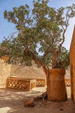 تصویر مقبره بوذرجمهر قائنی