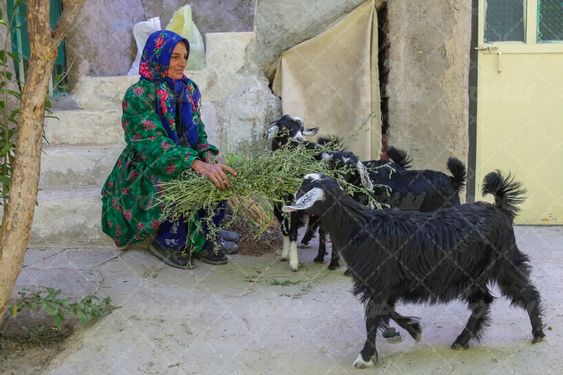 تصویر اهالی روستای چنشت