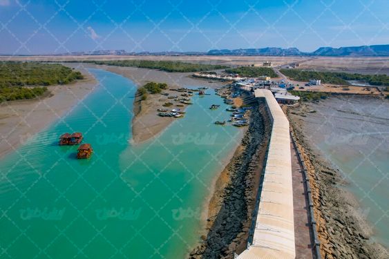 تصویر با کیفیت جنگل حرا قشم