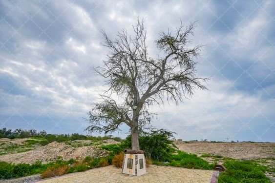 شهر حریره جاذبه گردشگری کیش