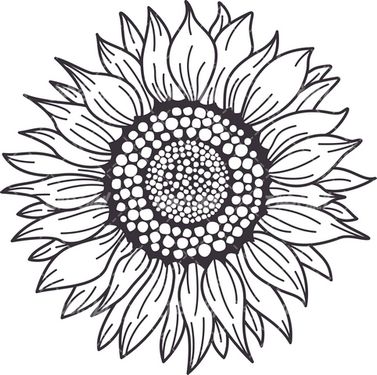 وکتور برداری گل آفتابگردان همراه با رنگ آمیزی و نقاشی