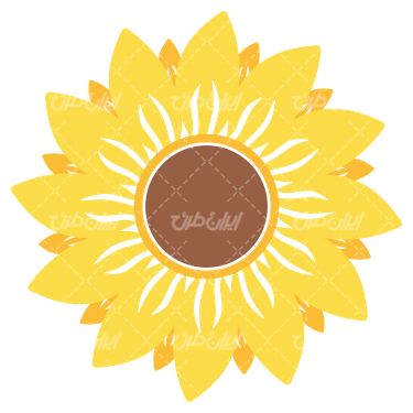 وکتور برداری گل آفتابگردان همراه با رنگ آمیزی و نقاشی