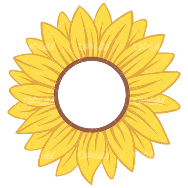 وکتور برداری گل آفتابگردان همراه با رنگ آمیزی و نقاشی