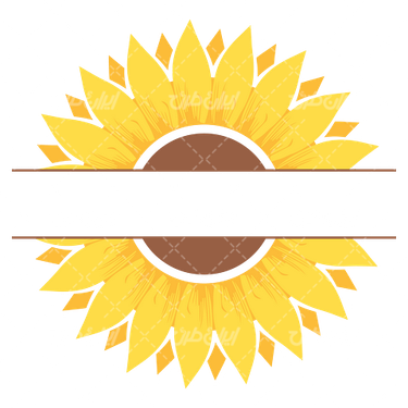 وکتور برداری رنگ آمیزی گل آفتابگردان همراه با رنگ آمیزی و نقاشی