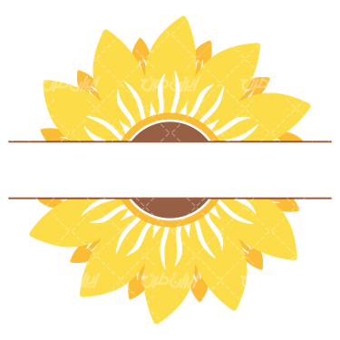 وکتور برداری رنگ آمیزی گل آفتابگردان همراه با رنگ آمیزی و نقاشی