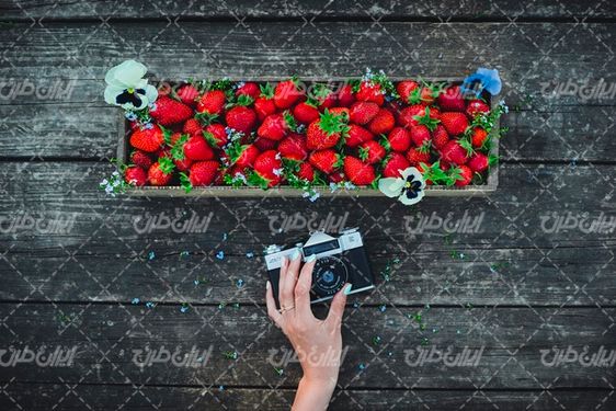 تصویر با کیفیت توت فرنگی همراه با دوربین عکاسی دیجیتال و میوه