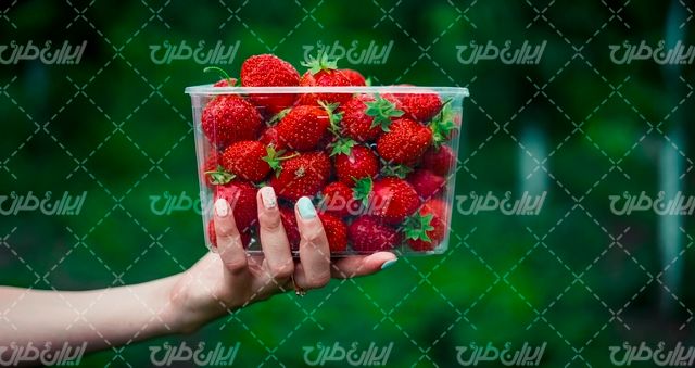 تصویر با کیفیت میوه همراه با ظرف پلاستکی میوه و توت فرنگی