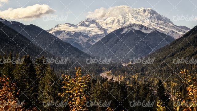 تصویر با کیفیت چشم انداز زیبای جنگل همراه با کوه و برف