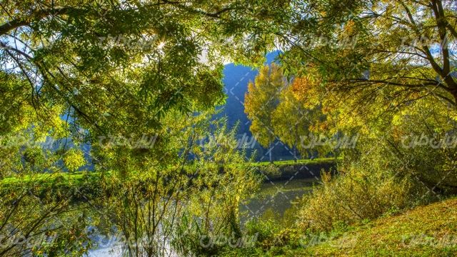 تصویر با کیفیت فصل پاییز همراه با پاییز و منظره زیبای رودخانه