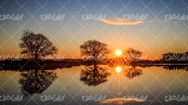 تصویر با کیفیت دریاچه زیبا همراه با منظره زیبای غروب آفتاب و درخت