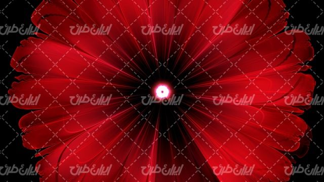 تصویر با کیفیت پس زمینه همراه با تصویر زمینه و بک گراند