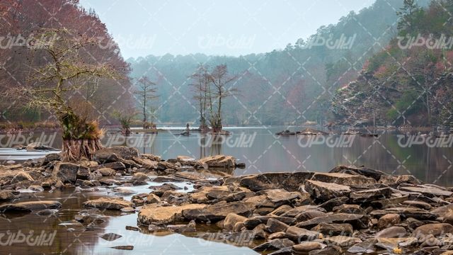 تصویر با کیفیت منظره زیبای دریاچه همراه با درخت و جنگل