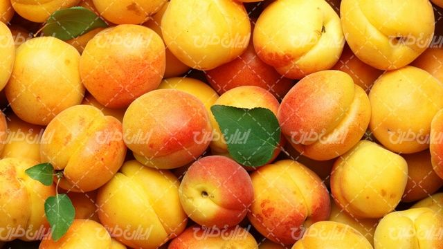تصویر با کیفیت میوه شده همراه با زردآلو و میوه بهاری