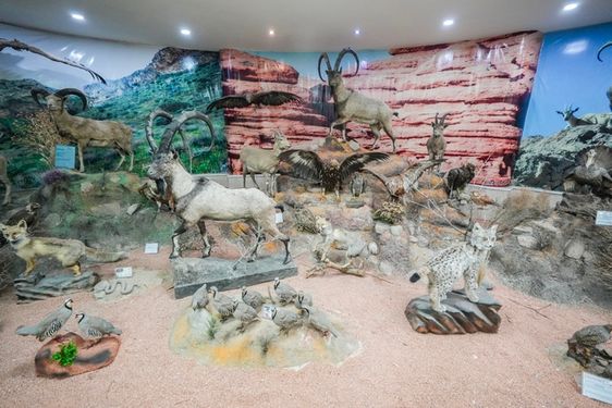 موزه تاریخ طبیعی آذربایجان غربی