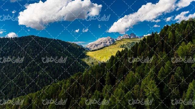 تصویر با کیفیت جنگل همراه با آسمان آبی و منظره زیبای کوه