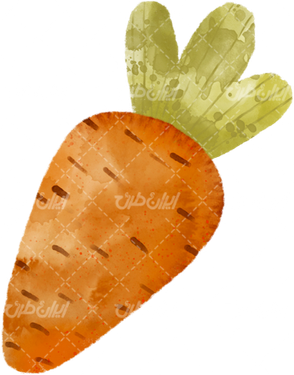 تصویر با کیفیت هویج همراه با میوه و هویج گرافیکی