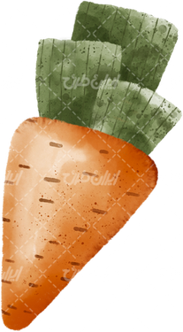 تصویر با کیفیت هویج همراه با میوه و میوه کارتونی