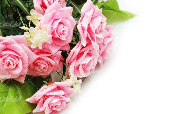 تصویر با کیفیت دسته گل همراه با گل رز و گل طبیعی