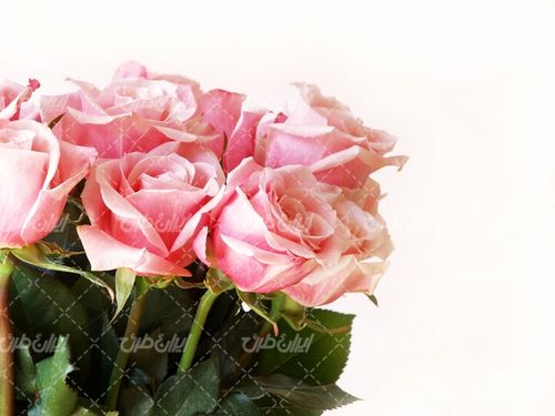 تصویر با کیفیت دسته گل همراه با گل رز و گل طبیعی