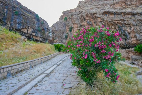 اشکف سلمان ایذه