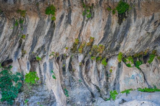 اشکف سلمان ایذه