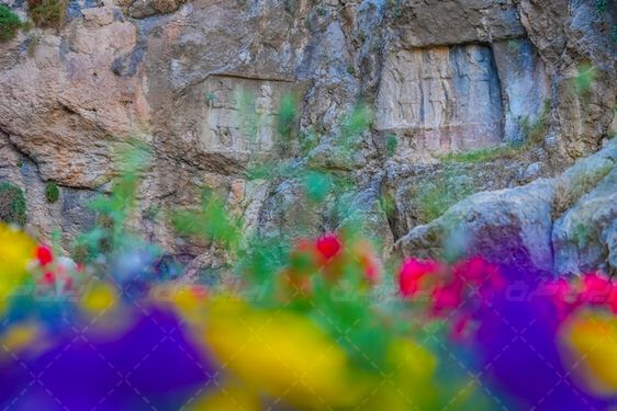 عکس با کیفیت اشکف سلمان