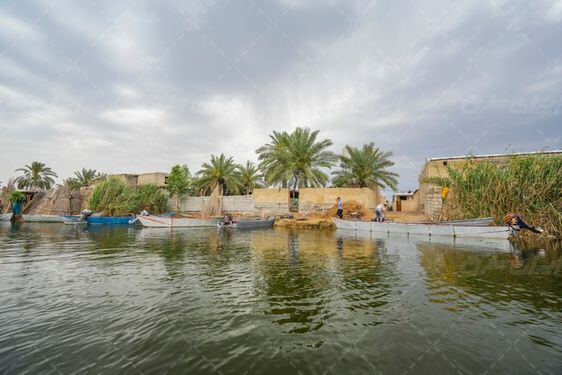 تالاب شادگان جاذبه گردشگری خوزستان