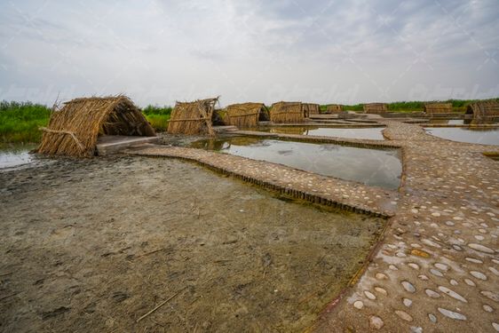 تالاب شادگان جاذبه گردشگری خوزستان