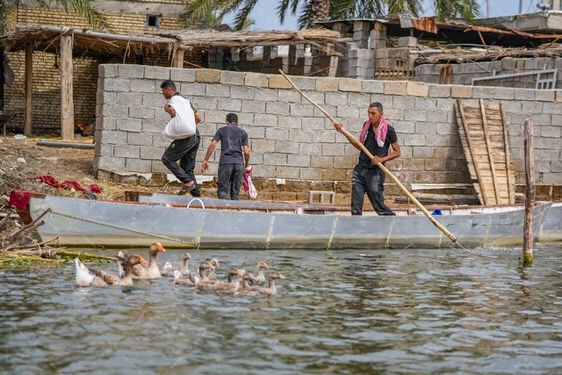 تالاب شادگان جاذبه گردشگری استان خوزستان