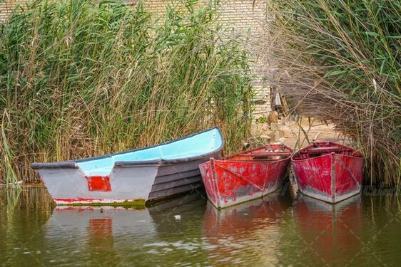 تالاب شادگان