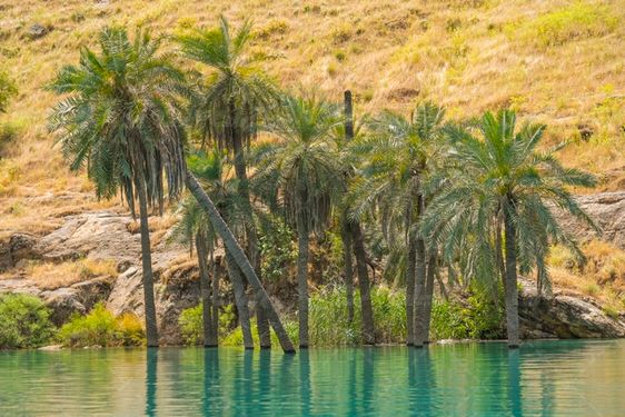 سد شیهون ایران