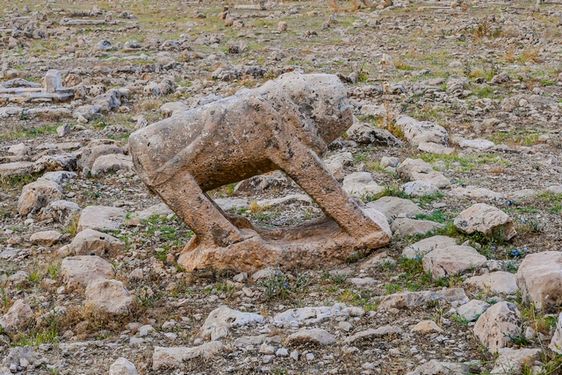 عکس با کیفیت قبرستان شهسوار