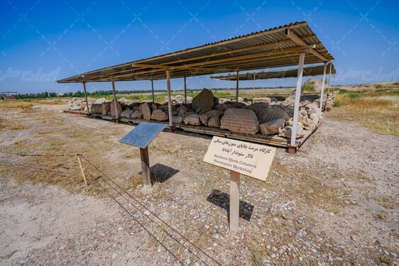 کاخ آپادانا شوش