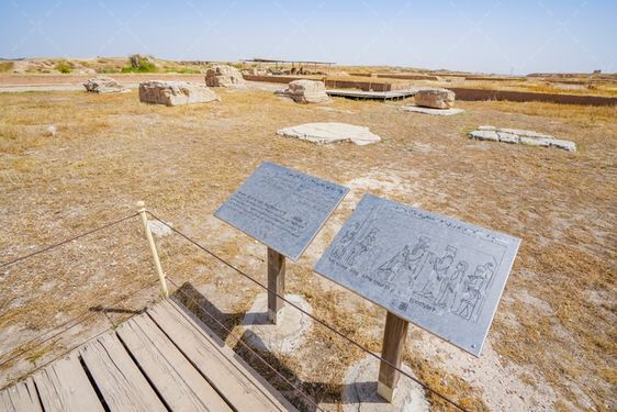 کاخ آپادانا شوش