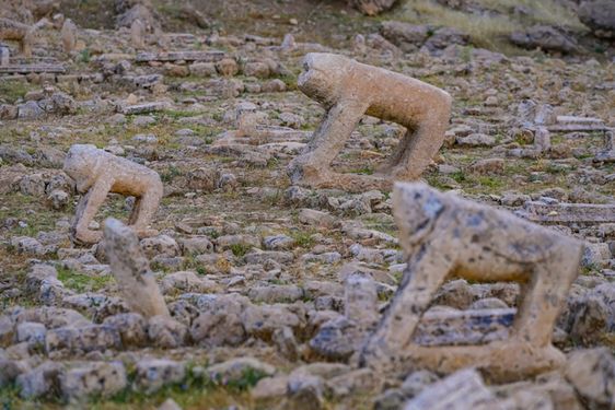 عکس با کیفیت قبرستان شهسوار