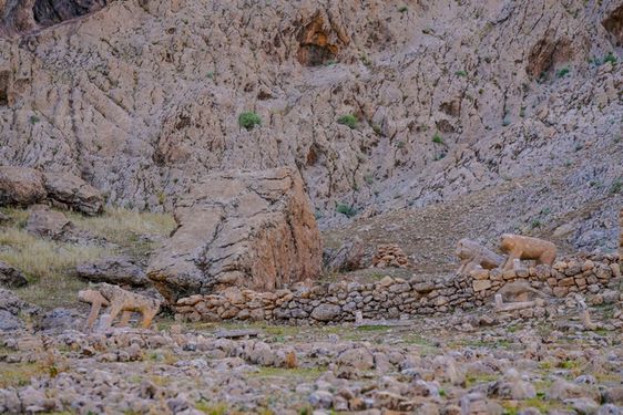 عکس با کیفیت قبرستان شهسوار