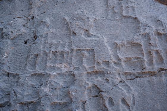 کول فرح جاذبه گردشگری خوزستان