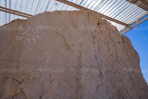 عکس با کیفیت کول فرح