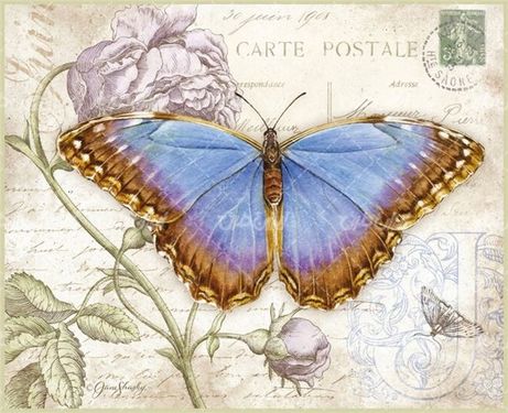 تصویر با کیفیت پروانه همراه با گل و نقاشی پروانه