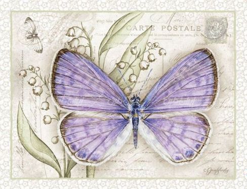 تصویر با کیفیت پروانه همراه با گل و نقاشی پروانه