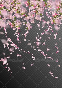 وکتور برداری شکوفه بهاری همراه با فصل بهار و گلبرگ شکوفه