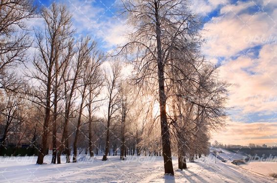 تصویر با کیفیت فصل زمستان همراه با زمستان و برف
