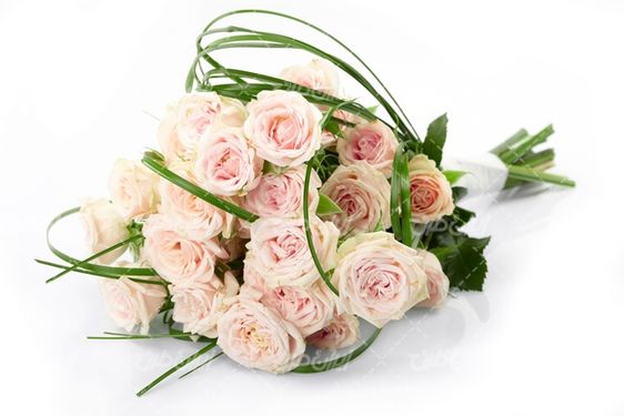تصویر با کیفیت گل رز همراه با گلفروشی و دسته گل