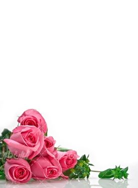 تصویر با کیفیت دسته گل رز صورتی همراه با گلفروشی و دسته گل